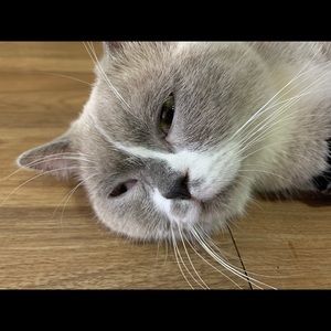 Meet your Posher, Xuan